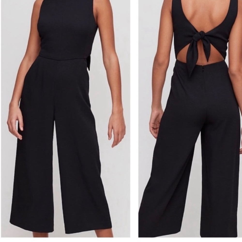 ARITZIA Wilfred Ecoulement Jumpsuit